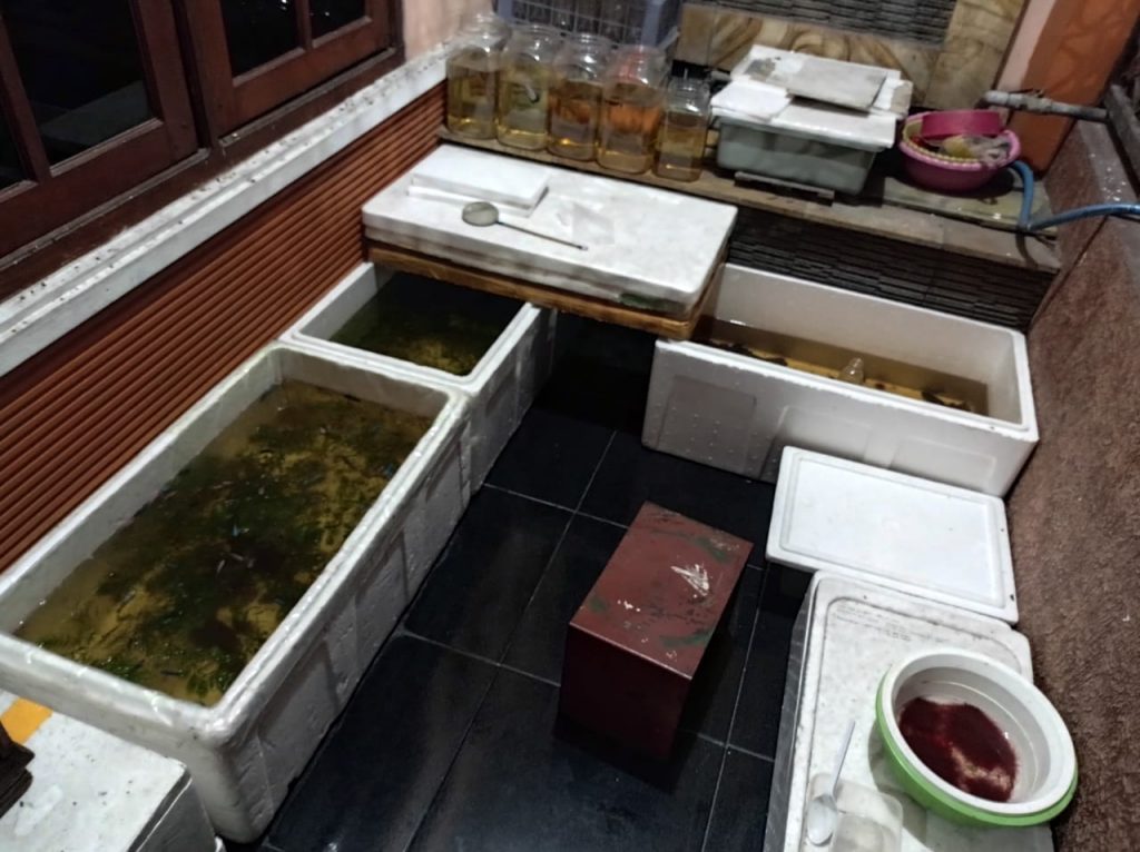 Ide Bisnis rumahan Ikan Cupang Untuk Warga Desa Grabagan – DRPM